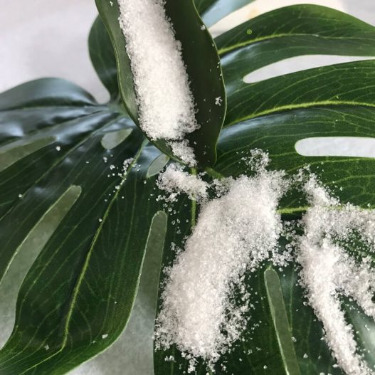 Agricultural-Grade-SAP-12 PP电子5金狮·(中国区)游戏官方网站